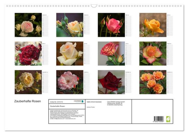 Produktbild: Zauberhafte Rosen (Wandkalender 2026 DIN A2 quer), CALVENDO Monatskalender