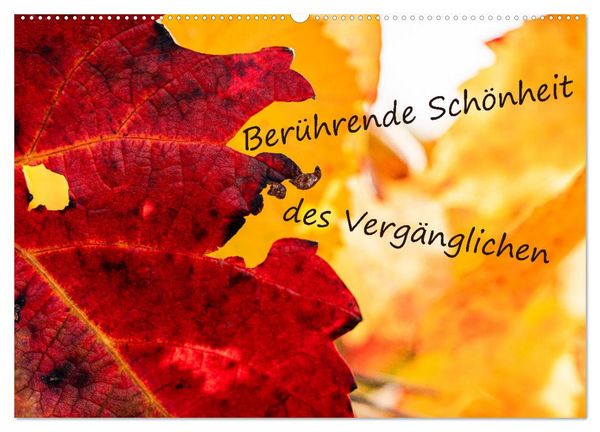 Produktbild: Ber&uuml;hrende Sch&ouml;nheit des Verg&auml;nglichen (Wandkalender 2026 DIN A2 quer), CALVENDO Monatskalender