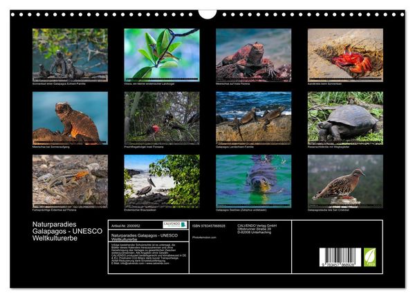 Produktbild: Naturparadies Galapagos - UNESCO Weltkulturerbe (Wandkalender 2026 DIN A3 quer), CALVENDO Monatskalender