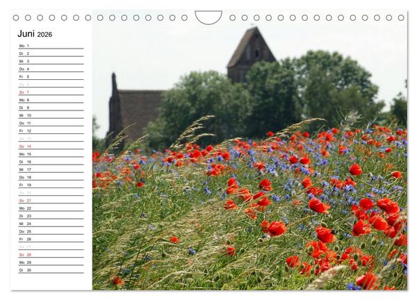 Produktbild: Die Jahreszeiten im Havelland (Wandkalender 2026 DIN A4 quer), CALVENDO Monatskalender
