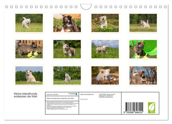 Produktbild: Kleine Islandhunde entdecken die Welt (Wandkalender 2027 DIN A4 quer), CALVENDO Monatskalender