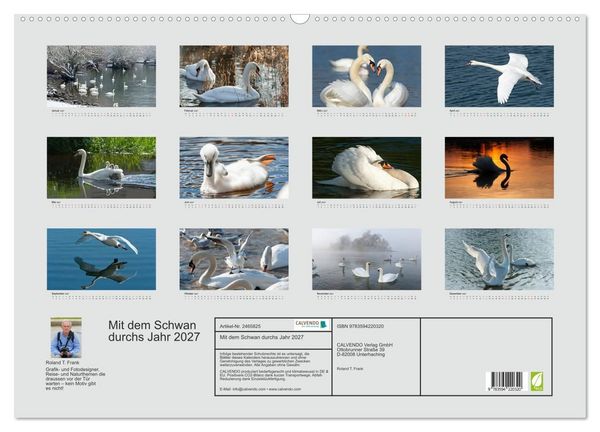Produktbild: Mit dem Schwan durchs Jahr 2027 (Wandkalender 2027 DIN A2 quer), CALVENDO Monatskalender