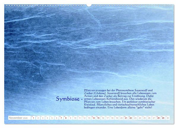 Produktbild: Vermeintliche Gottesbeweise - Nachdenk-Kalender (hochwertiger Premium Wandkalender 2026 DIN A2 quer), Kunstdruck in Hochglanz