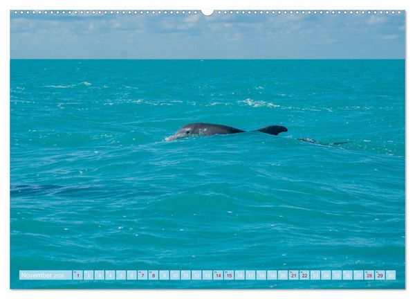 Produktbild: Mexiko - Die wundersch&ouml;ne Halbinsel Yucat&aacute;n Fotokalender 2026 (hochwertiger Premium Wandkalender 2026 DIN A2 quer), Kunstdruck in Hochglanz