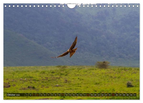 Produktbild: Abenteuer Tansania, Afrika (Wandkalender 2026 DIN A4 quer), CALVENDO Monatskalender