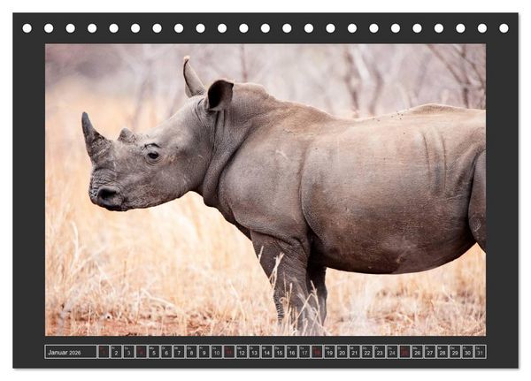 Produktbild: Das Wei&szlig;e Nashorn (Tischkalender 2026 DIN A5 quer), CALVENDO Monatskalender