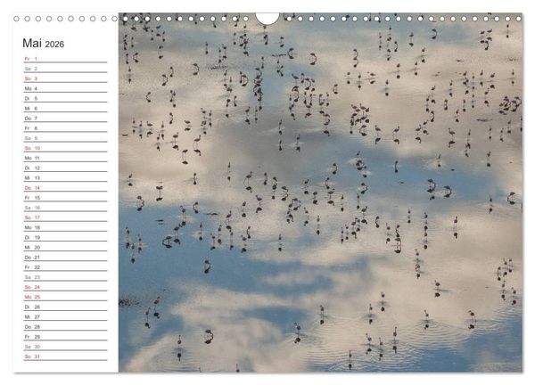 Produktbild: Emotionale Momente: Mein wildes Afrika (Wandkalender 2026 DIN A3 quer), CALVENDO Monatskalender