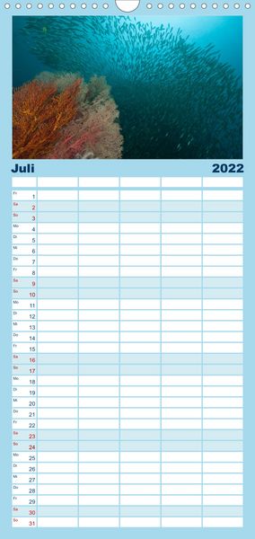 Produktbild: Tauchen, Fische und Meer - Familienplaner hoch (Wandkalender 2022 , 21 cm x 45 cm, hoch)