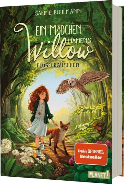 Produktbild: Ein M&auml;dchen namens Willow 3: Fl&uuml;gelrauschen