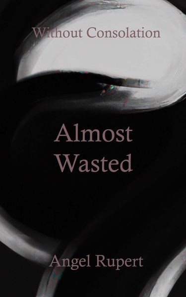 Produktbild: Almost Wasted