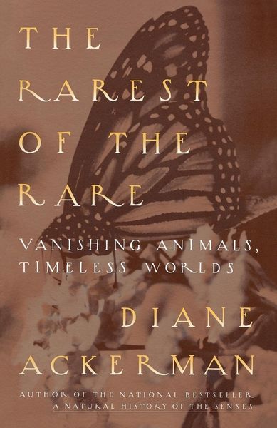 Produktbild: The Rarest of the Rare