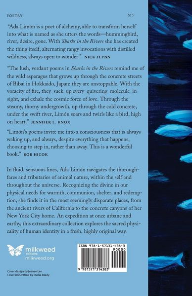 Produktbild: Sharks in the Rivers