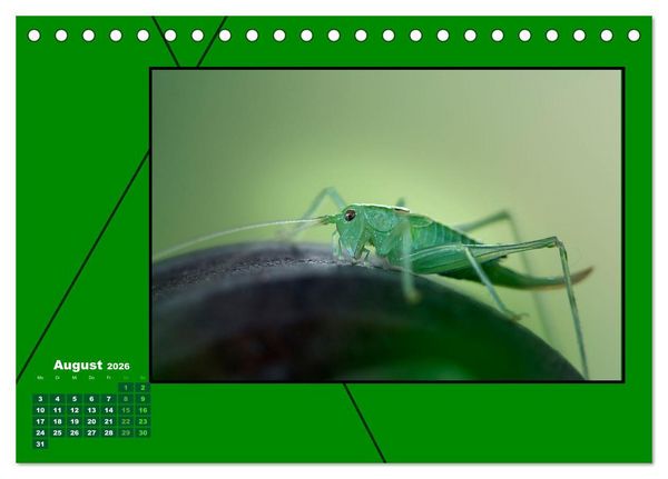 Produktbild: Heilende Farbe Gr&uuml;n (Tischkalender 2026 DIN A5 quer), CALVENDO Monatskalender