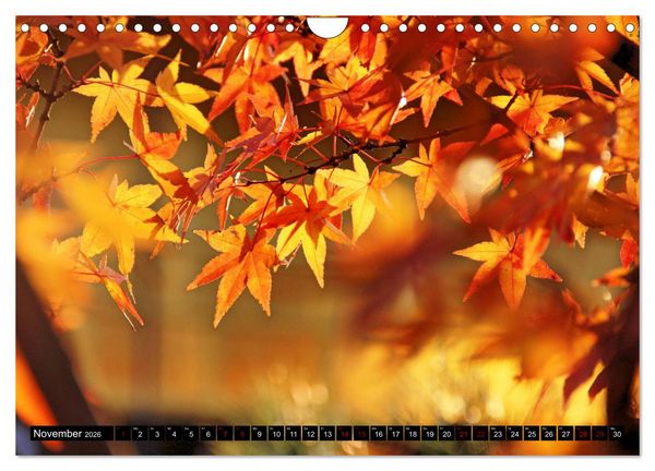 Produktbild: Japan - Details (Wandkalender 2026 DIN A4 quer), CALVENDO Monatskalender