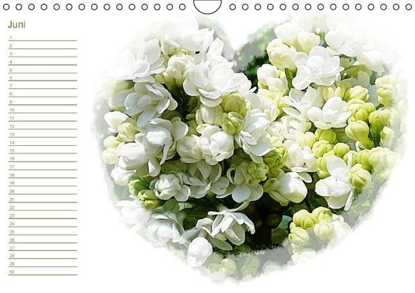 Produktbild: Bl&uuml;tentr&auml;ume - ganz in wei&szlig; / Geburtstagskalender (Wandkalender immerw&auml;hrend DIN A4 quer)