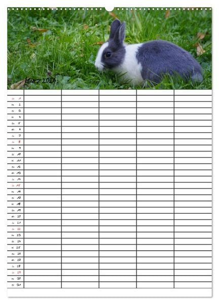 Produktbild: Meerschweinchen und Kaninchen Familienplaner (hochwertiger Premium Wandkalender 2026 DIN A2 hoch), Kunstdruck in Hochglanz