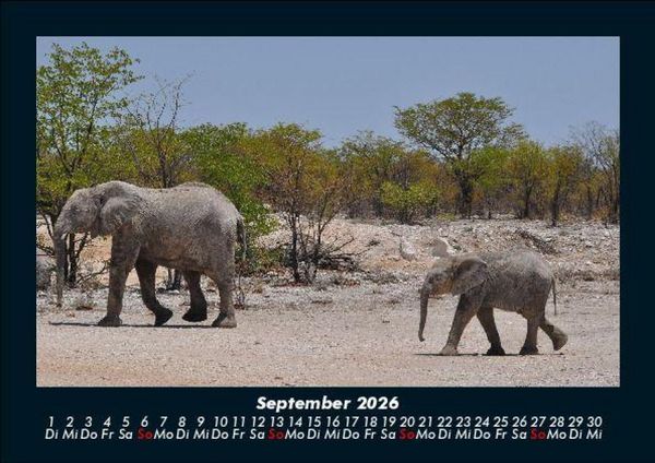 Produktbild: Elefanten - Die sanften Riesen Afrikas 2026 Fotokalender DIN A5