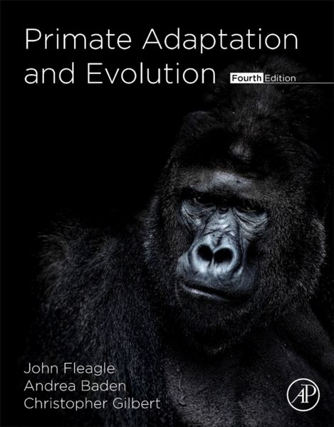 Produktbild: Primate Adaptation and Evolution