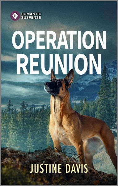 Produktbild: Operation Reunion