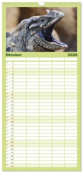 Produktbild: Familienplaner 2026 - Echsen - Schuppige &Uuml;berlebensk&uuml;nstler mit 5 Spalten (Wandkalender, 21 x 45 cm) CALVENDO