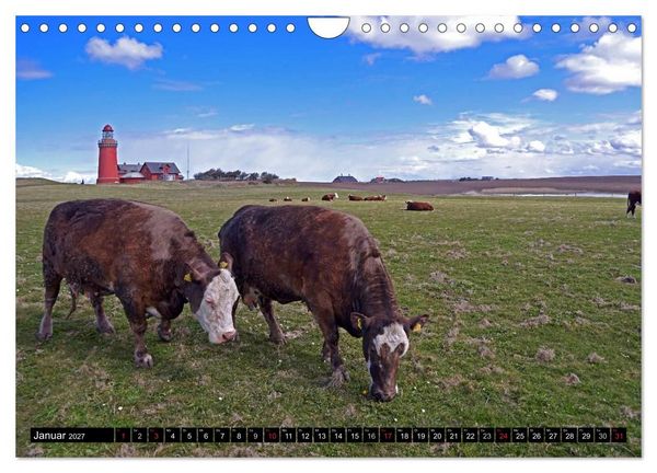 Produktbild: J&uuml;tlands K&uuml;ste 2027 (Wandkalender 2027 DIN A4 quer), CALVENDO Monatskalender