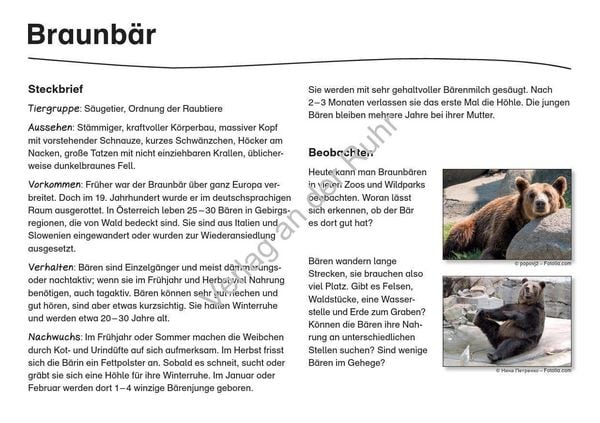 Produktbild: Waldtiere