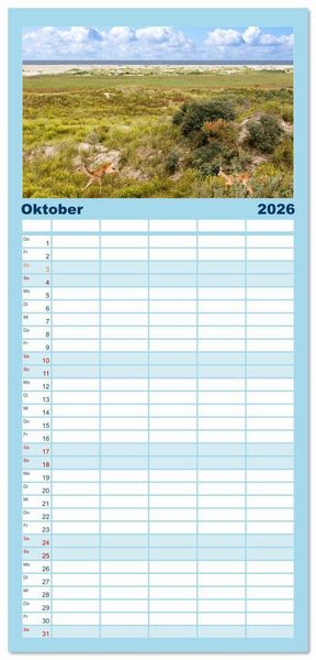 Produktbild: Familienplaner 2026 - Buntes und bl&uuml;hendes Borkum mit 5 Spalten (Wandkalender, 21 x 45 cm) CALVENDO