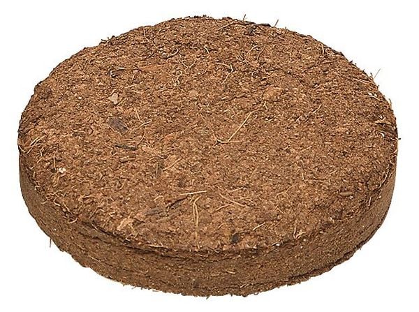 Produktbild: Mein Zaubergarten Anzuchtsets f&uuml;r Insektenfreunde