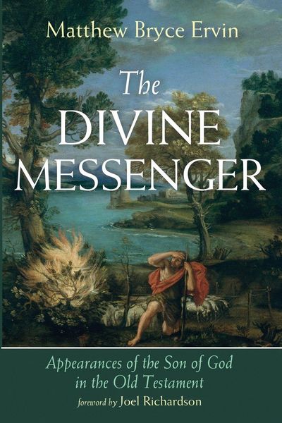 Produktbild: The Divine Messenger