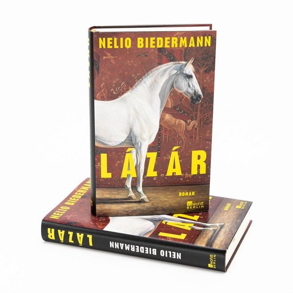 Produktbild: L&aacute;z&aacute;r