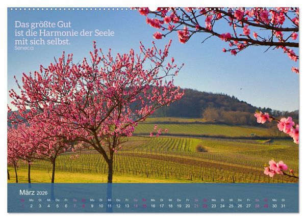 Produktbild: FASZINATION MANDELBL&Uuml;TE (hochwertiger Premium Wandkalender 2026 DIN A2 quer), Kunstdruck in Hochglanz