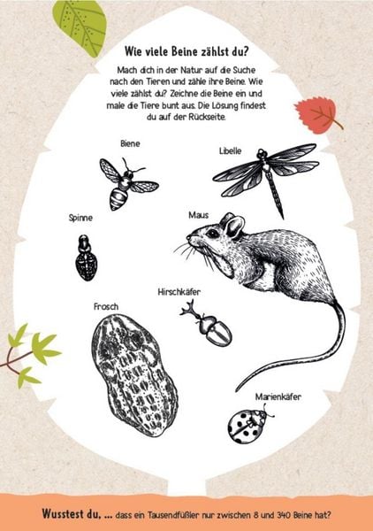 Produktbild: Natur-Challenges