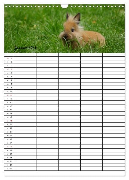 Produktbild: Meerschweinchen und Kaninchen Familienplaner (Wandkalender 2026 DIN A3 hoch), CALVENDO Monatskalender