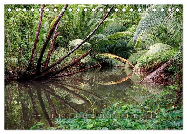 Produktbild: Seychellen - Inselparadiese Mah&eacute; La Digue Praslin (Tischkalender 2026 DIN A5 quer), CALVENDO Monatskalender
