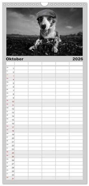 Produktbild: Familienplaner 2026 - H&uuml;tehunde mit 5 Spalten (Wandkalender, 21 x 45 cm) CALVENDO