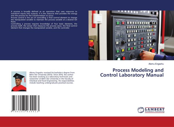 Produktbild: Process Modeling and Control Laboratory Manual