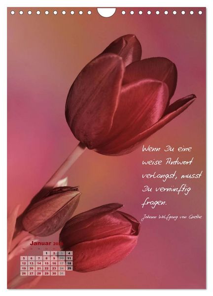 Produktbild: Blumen & Zitate (Wandkalender 2026 DIN A4 hoch), CALVENDO Monatskalender
