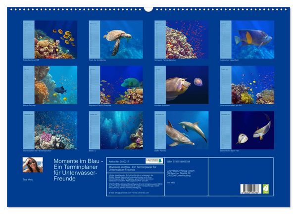 Produktbild: Momente im Blau - Ein Terminplaner f&uuml;r Unterwasser-Freunde (Wandkalender 2026 DIN A2 quer), CALVENDO Monatskalender