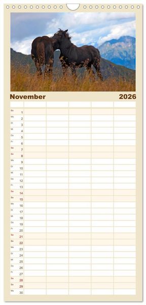 Produktbild: Familienplaner 2026 - Pferde und Ponys im Paradies mit 5 Spalten (Wandkalender, 21 x 45 cm) CALVENDO