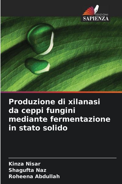 Produktbild: Produzione di xilanasi da ceppi fungini mediante fermentazione in stato solido