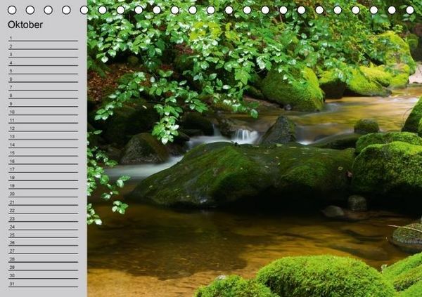 Produktbild: Waldges&auml;nge - Geburtstagskalender (Tischkalender immerw&auml;hrend DIN A5 quer)