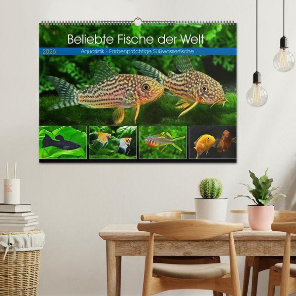 Produktbild: Beliebte Fische der Welt (Wandkalender 2026 DIN A2 quer), CALVENDO Monatskalender