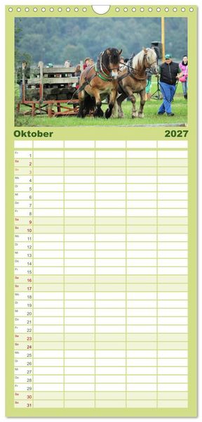 Produktbild: Familienplaner 2027 - Schwere Pferde mit 5 Spalten (Wandkalender, 21 x 45 cm) CALVENDO