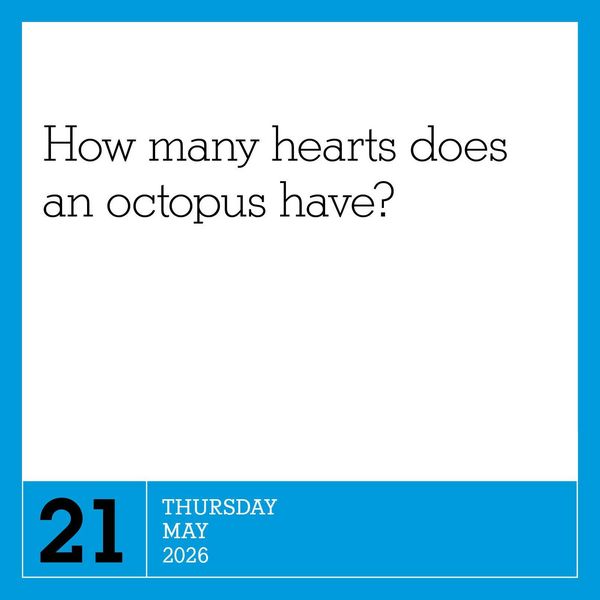 Produktbild: 365 Days of Amazing Trivia Page-A-Day(r) Calendar 2026