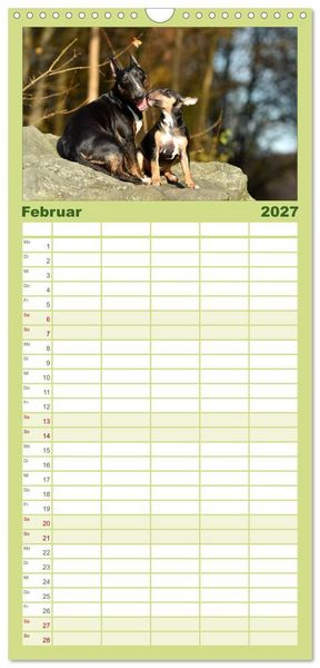 Produktbild: Familienplaner 2027 - Einmal Bullterrier - immer Bullterrier mit 5 Spalten (Wandkalender, 21 x 45 cm) CALVENDO