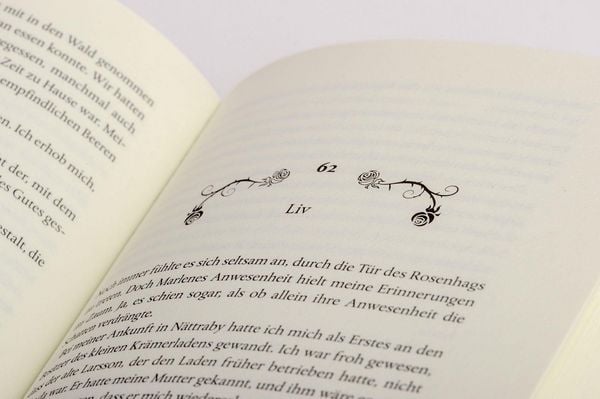 Produktbild: Die Frauen vom Rosenhag. Traum vom Neubeginn