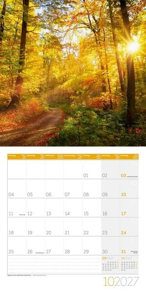 Produktbild: Magie des Lichts Kalender 2027 - 30x30 - Art12