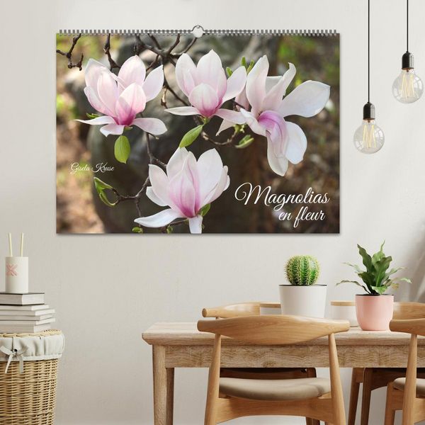 Produktbild: Magnolias en fleur (Calendrier mural 2026 DIN A2 vertical), CALVENDO calendrier mensuel