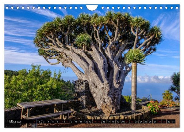 Produktbild: Natur pur erleben auf La Palma (Wandkalender 2026 DIN A4 quer), CALVENDO Monatskalender