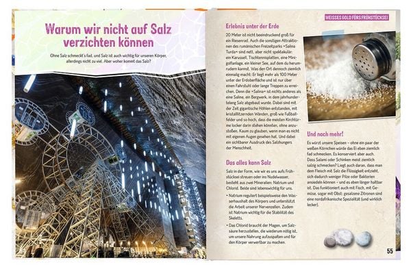 Produktbild: Erforsche Steine & Mineralien - Verborgene Sch&auml;tze der Erde